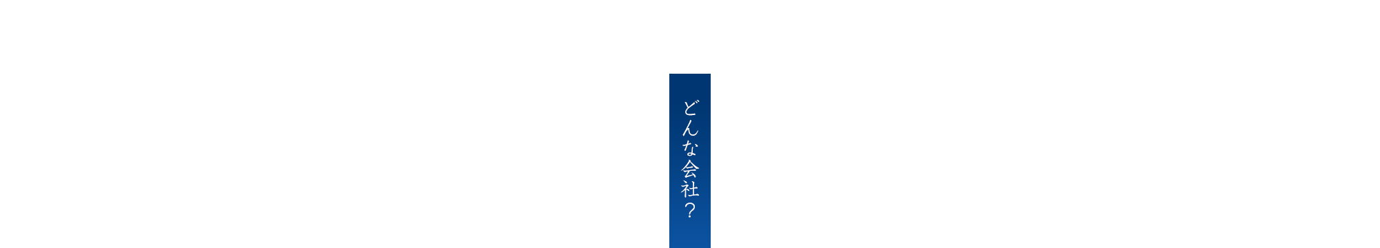 どんな会社？